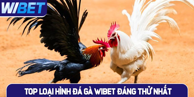 Tổng hợp TOP 3 loại hình đá gà WIBET đáng thử nhất