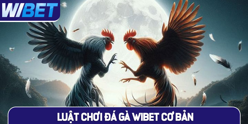 Luật chơi đá gà WIBET cơ bản dành cho sư kê mới